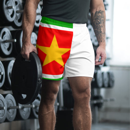 GWADLOUP men's sports shorts - Vizyon